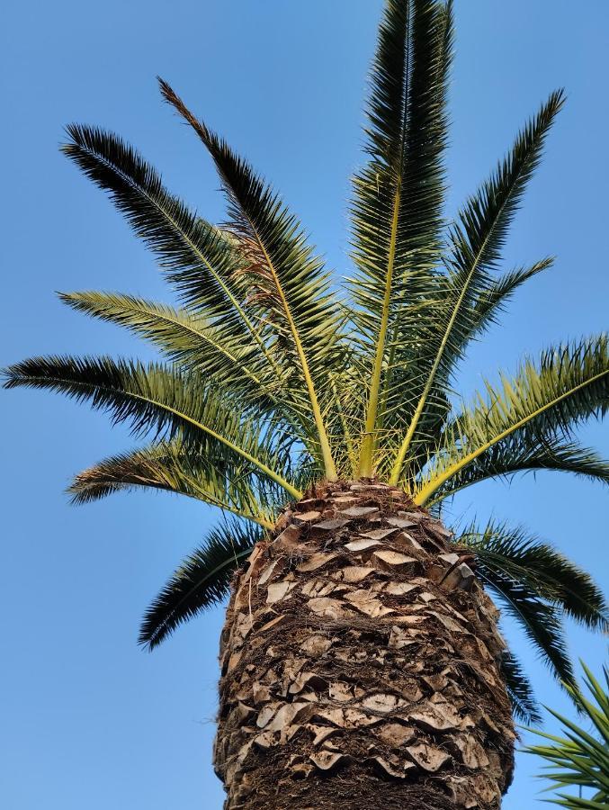 Valle Di Mare Country Resort Fontane Bianche Dış mekan fotoğraf