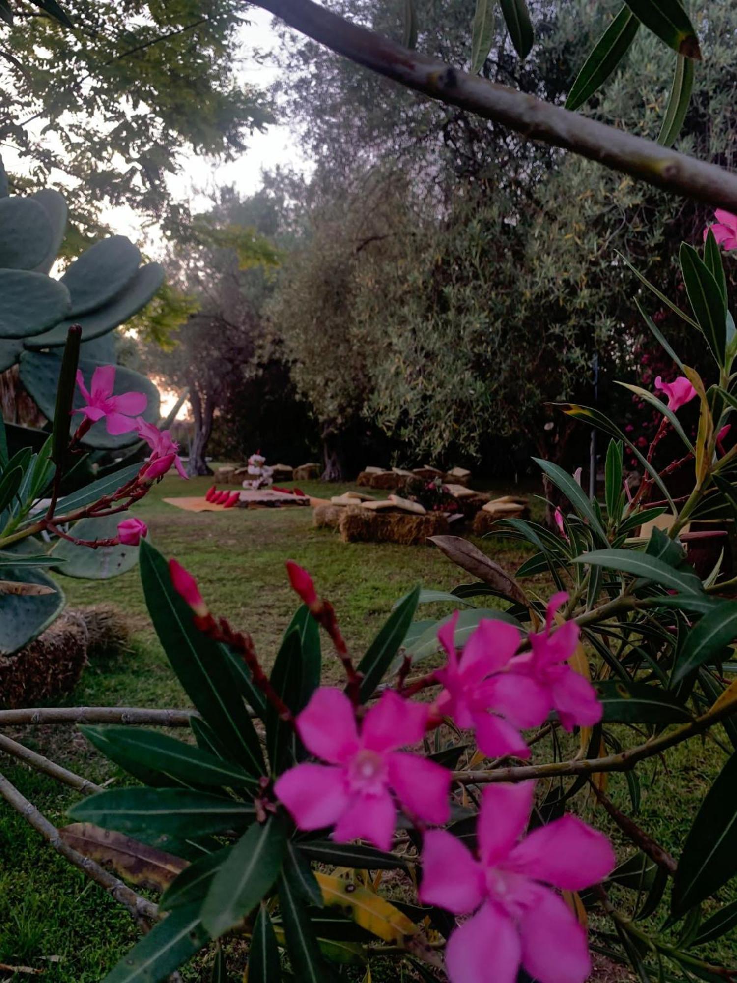 Valle Di Mare Country Resort Fontane Bianche Dış mekan fotoğraf