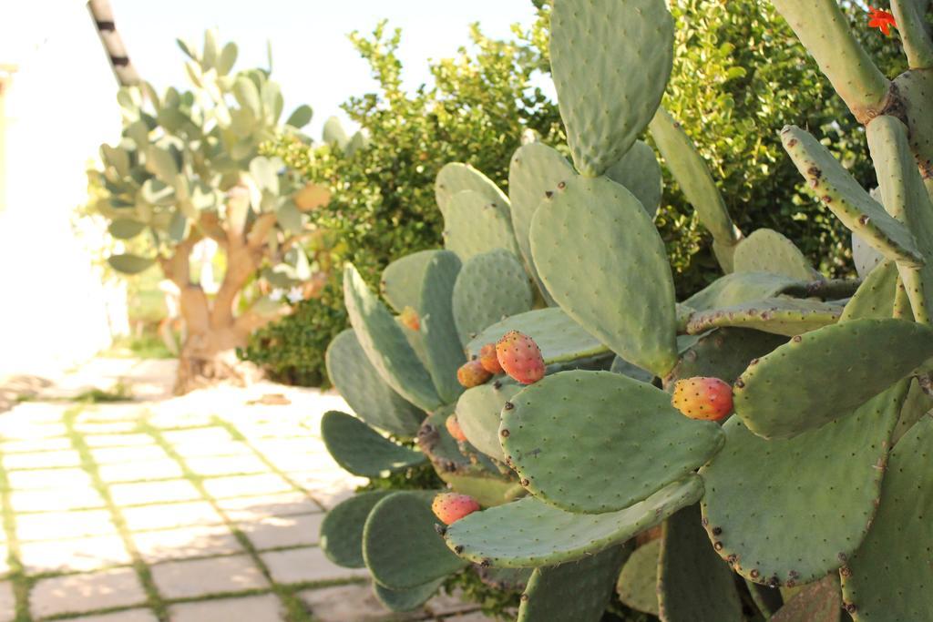 Valle Di Mare Country Resort Fontane Bianche Dış mekan fotoğraf