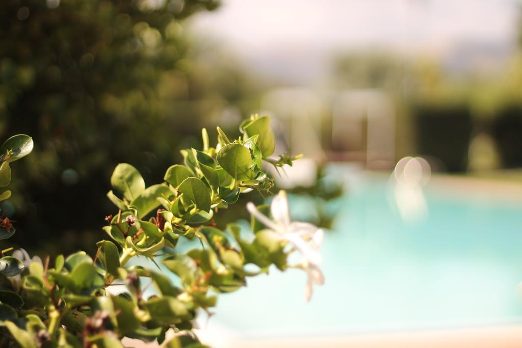 Valle Di Mare Country Resort Fontane Bianche Dış mekan fotoğraf