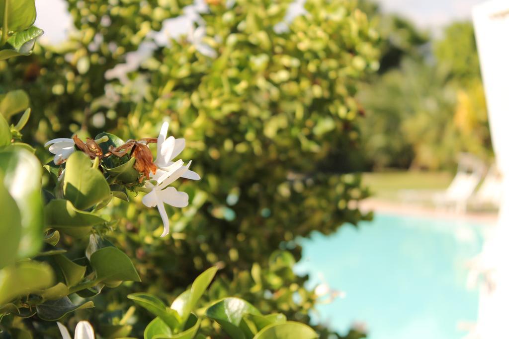 Valle Di Mare Country Resort Fontane Bianche Dış mekan fotoğraf